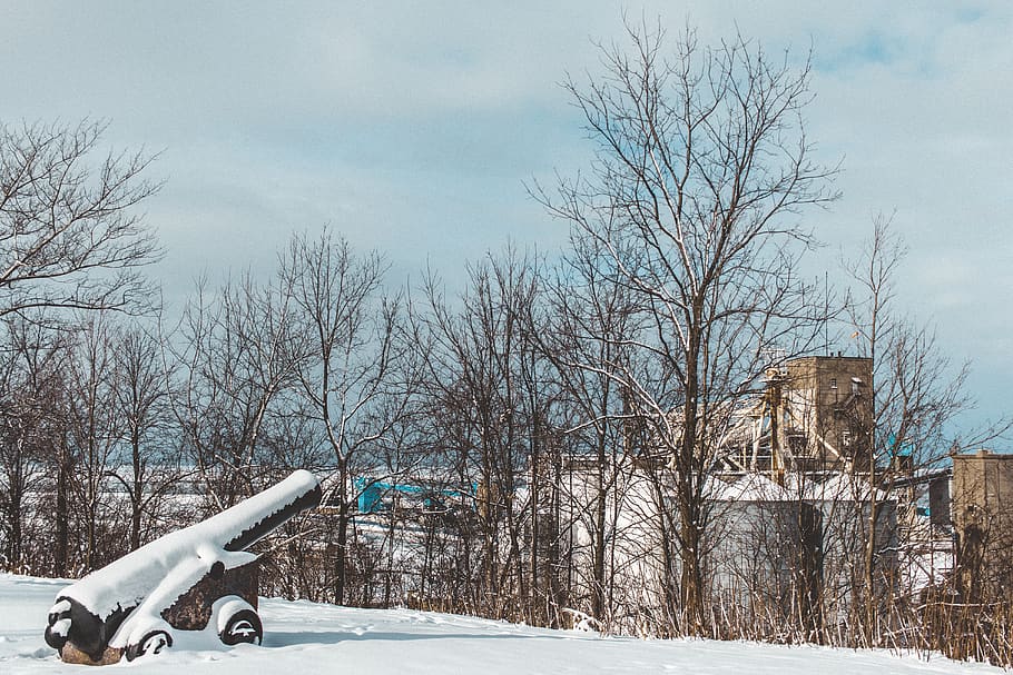 canada, goderich, winter, snow, trees, canon, cold temperature HD wallpaper