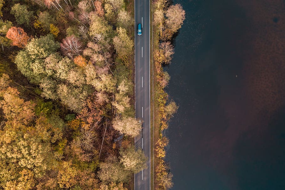 way, forest, tree, landscape, forests, autumn, car, drone, bird species HD wallpaper