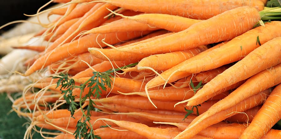 carrots, stall, veg, vegetable, food, fruit, nature, fresh HD wallpaper