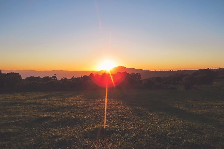 green grass during sunrise, light, flare, sunlight, sunset, outdoors HD wallpaper