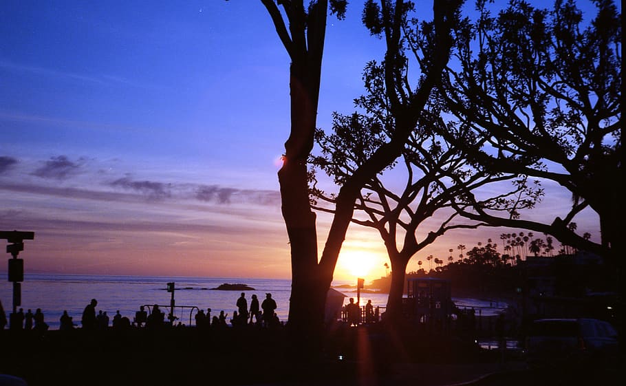 united states, laguna beach, oceanview, bay, trees, sunset, HD wallpaper