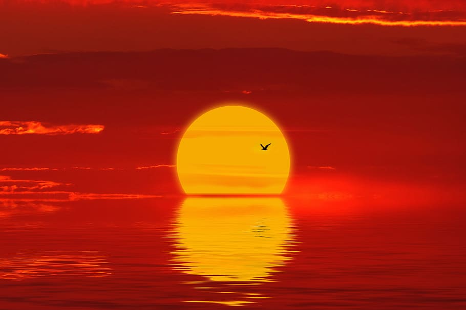 sun, sunset, sea, wave, water, bird, sky, landscape, mood, dusk HD wallpaper