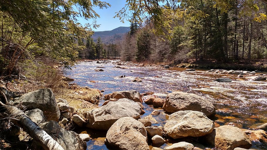 stream, water, nature, landscape, river, scenic, outdoors, rocks HD wallpaper