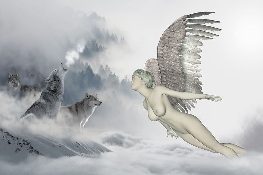 wolf, angel, cloud, wings, smoke, spirituality, angelic, fantasy HD wallpaper