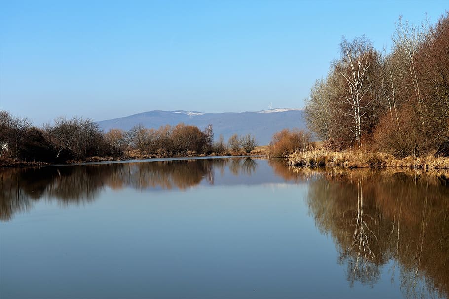 nature, landscape, trees, water, mood, reflection, tranquility HD wallpaper