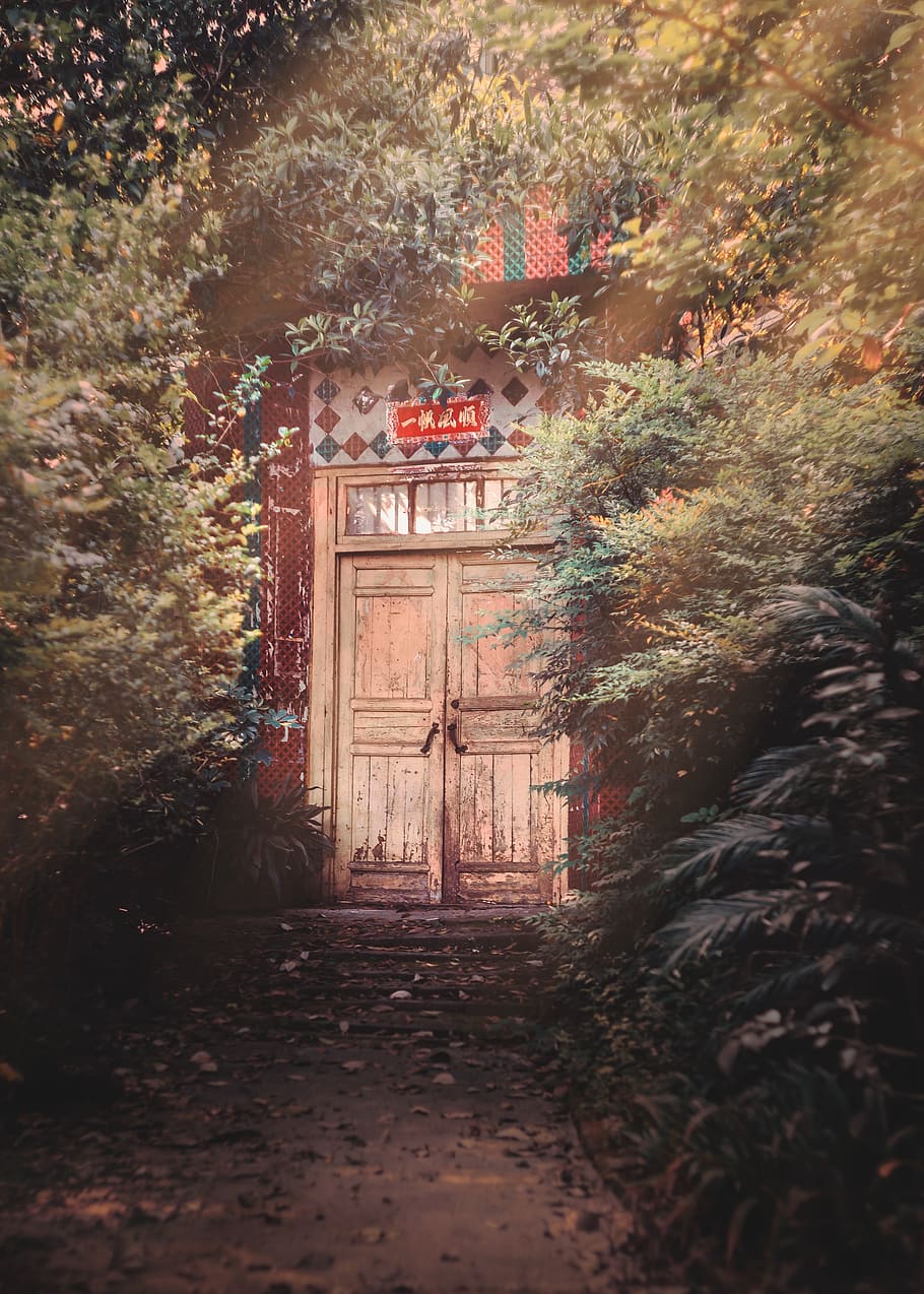 plant, tree, outdoors, vegetation, nature, conifer, bush, gate, HD wallpaper