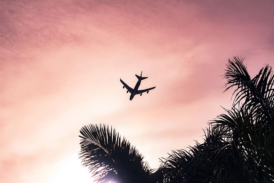 airplane under cloudy sky during daytime, miami beach, tree, united states HD wallpaper