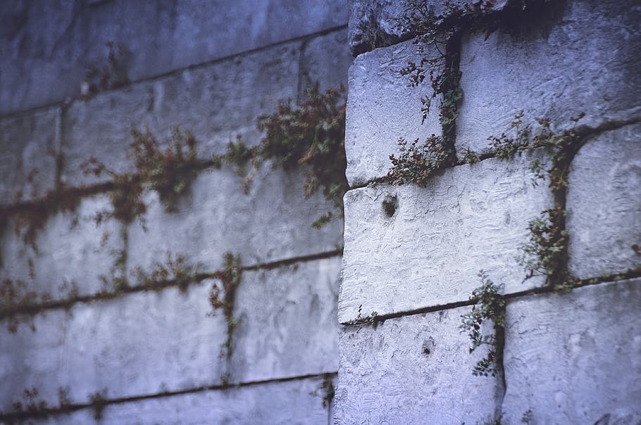 wall, old, ruins, brick, wall - building feature, built structure HD wallpaper