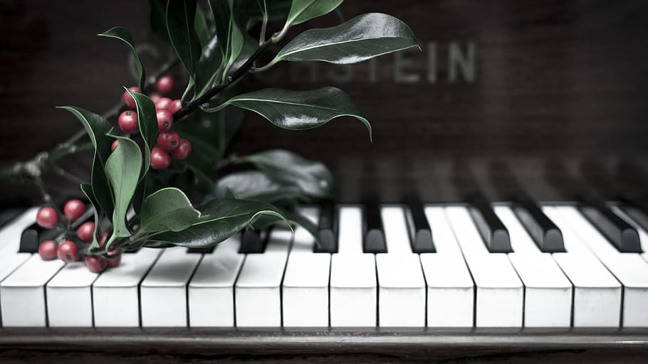 plant, close-up, piano, plant part, leaf, piano key, no people, HD wallpaper