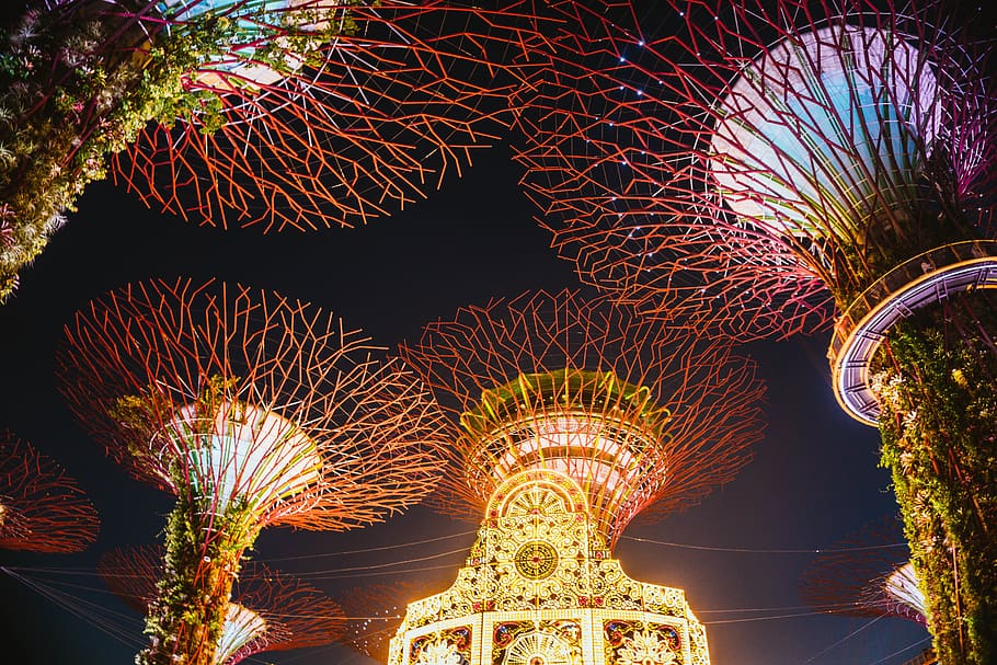Tree Groove, Singapore, crowd, lighting, festival, amusement park HD wallpaper