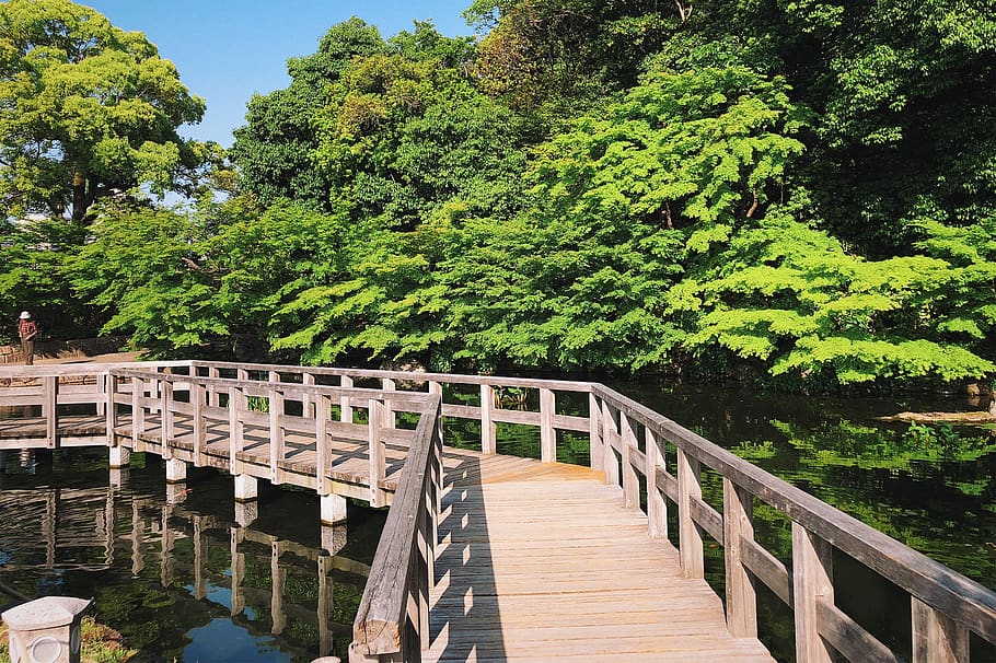 japan, nagoya-shi, 2318 tokugawachō, trees, bridge, park, path