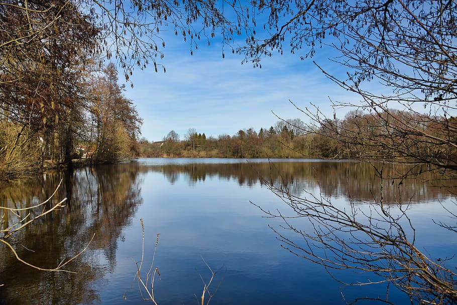 pond, water, reflection, nature, spring, autumn, tree, trees HD wallpaper