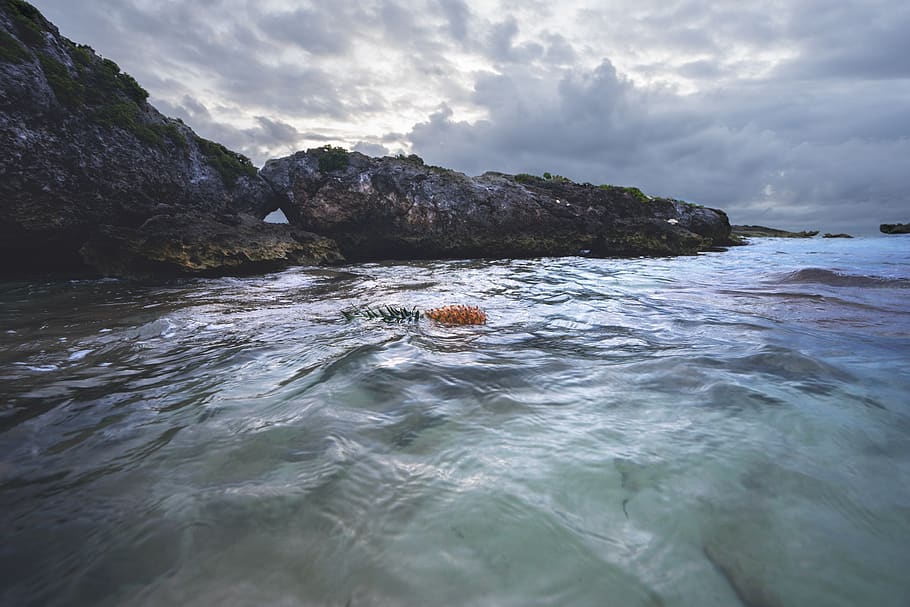 mexico, akumal, grand sirenis riviera maya resort, water, rock, HD wallpaper