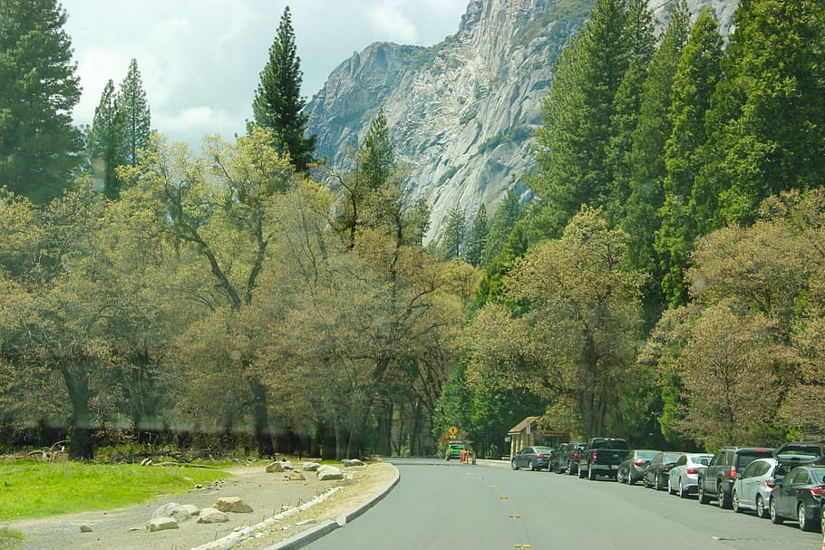 road, valley, mountain, tree, plant, transportation, nature HD wallpaper