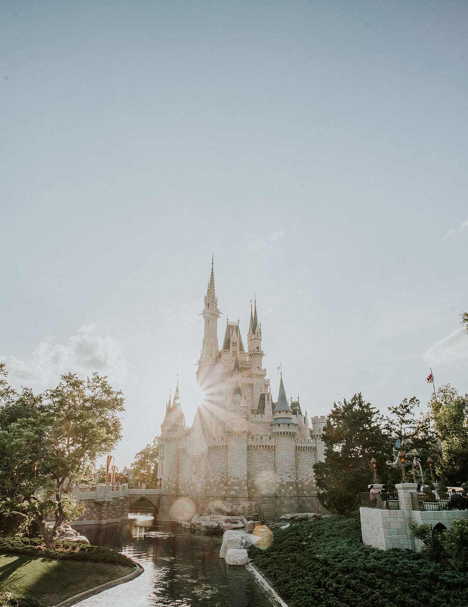 cathedral surrounded by trees, castle, building, sunlight, flare HD wallpaper
