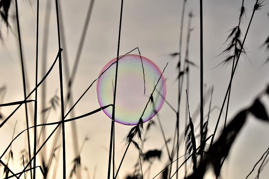 soap bubble, backlighting, mood, shimmer, rainbow colors, sunrise HD wallpaper