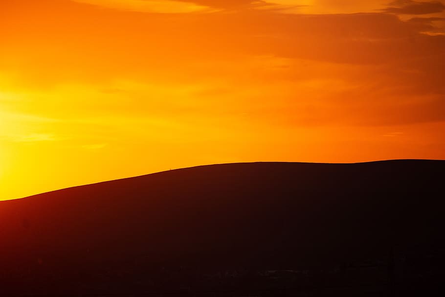 silhouette, sunlight, sunset, abstract, evening, gold hour HD wallpaper
