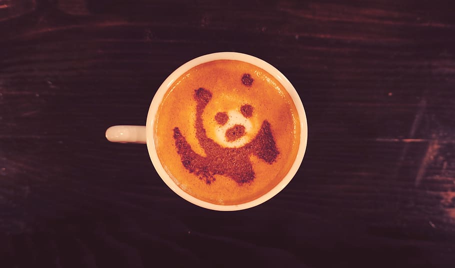 panda bear, coffee, bears, cub, cappuccino, coffee shop, drink HD wallpaper