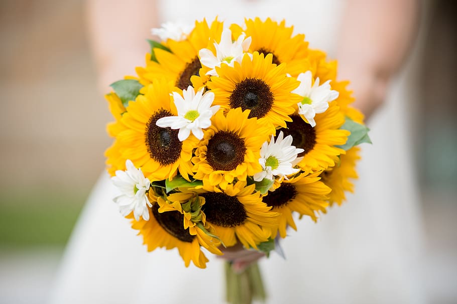 Close-Up Photo of Bouquet, beautiful, bloom, blooming, blur, delicate HD wallpaper