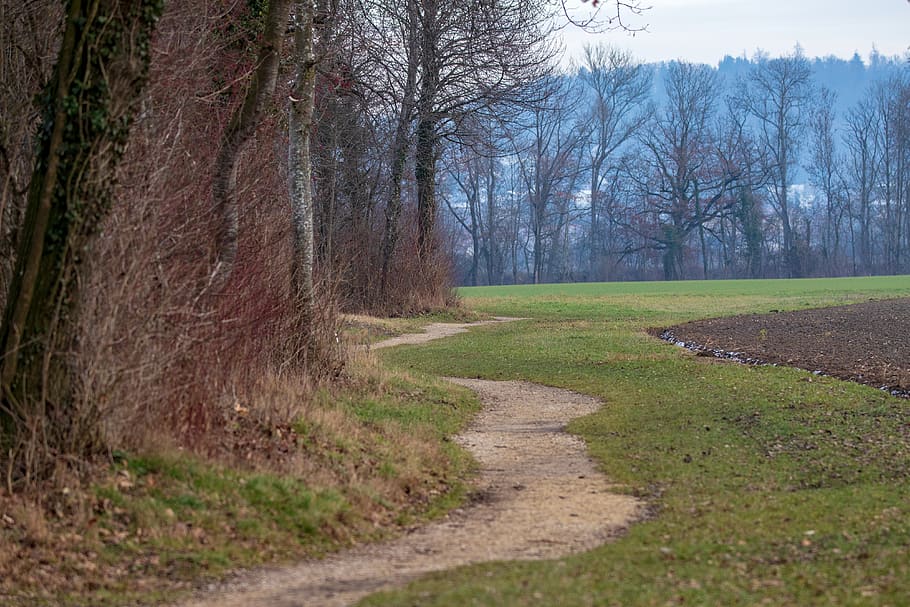 away, hike, snake, nature, trail, landscape, idyllic, walk HD wallpaper