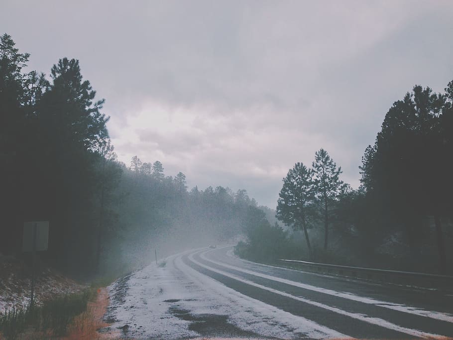 tree, nature, forest, mountain, snow, cold, winter, cloud, fog HD wallpaper