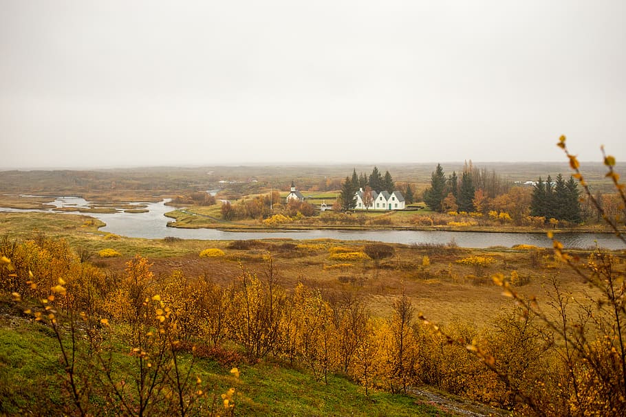 iceland, autumn, water, tree, nature, plant, scenics - nature HD wallpaper