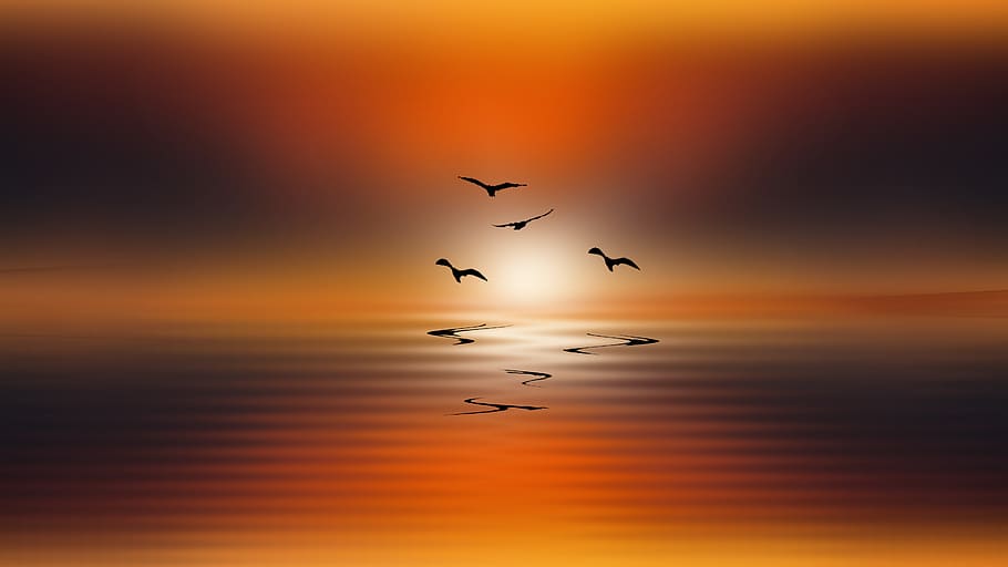 sunset, dawn, himmel, nature, outdoor, summer, silhouette, no person HD wallpaper