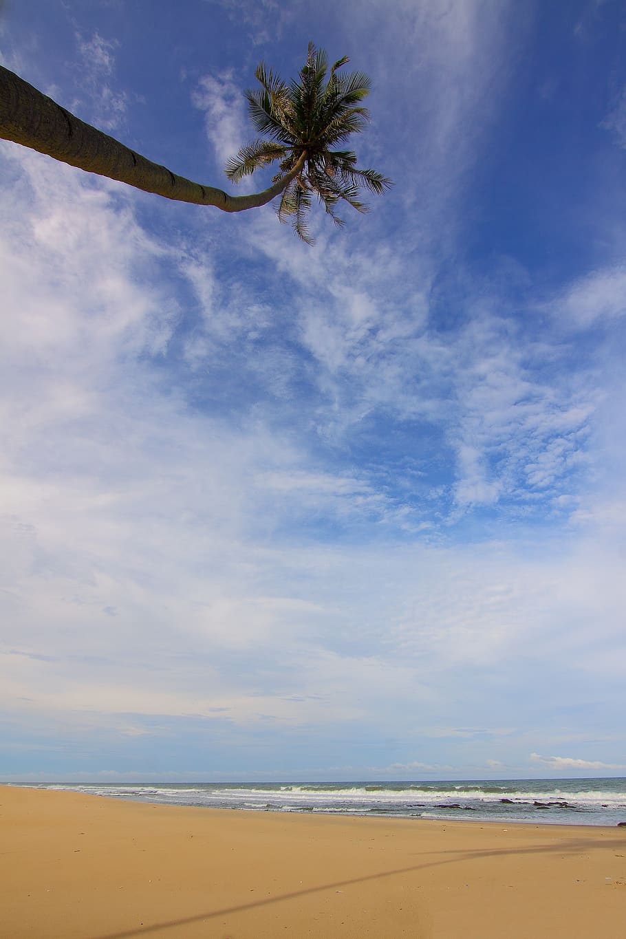 Coconut Palm Tree Near Seawater Waving on Sand Under Blue Sky and White Clouds during Daytime HD wallpaper