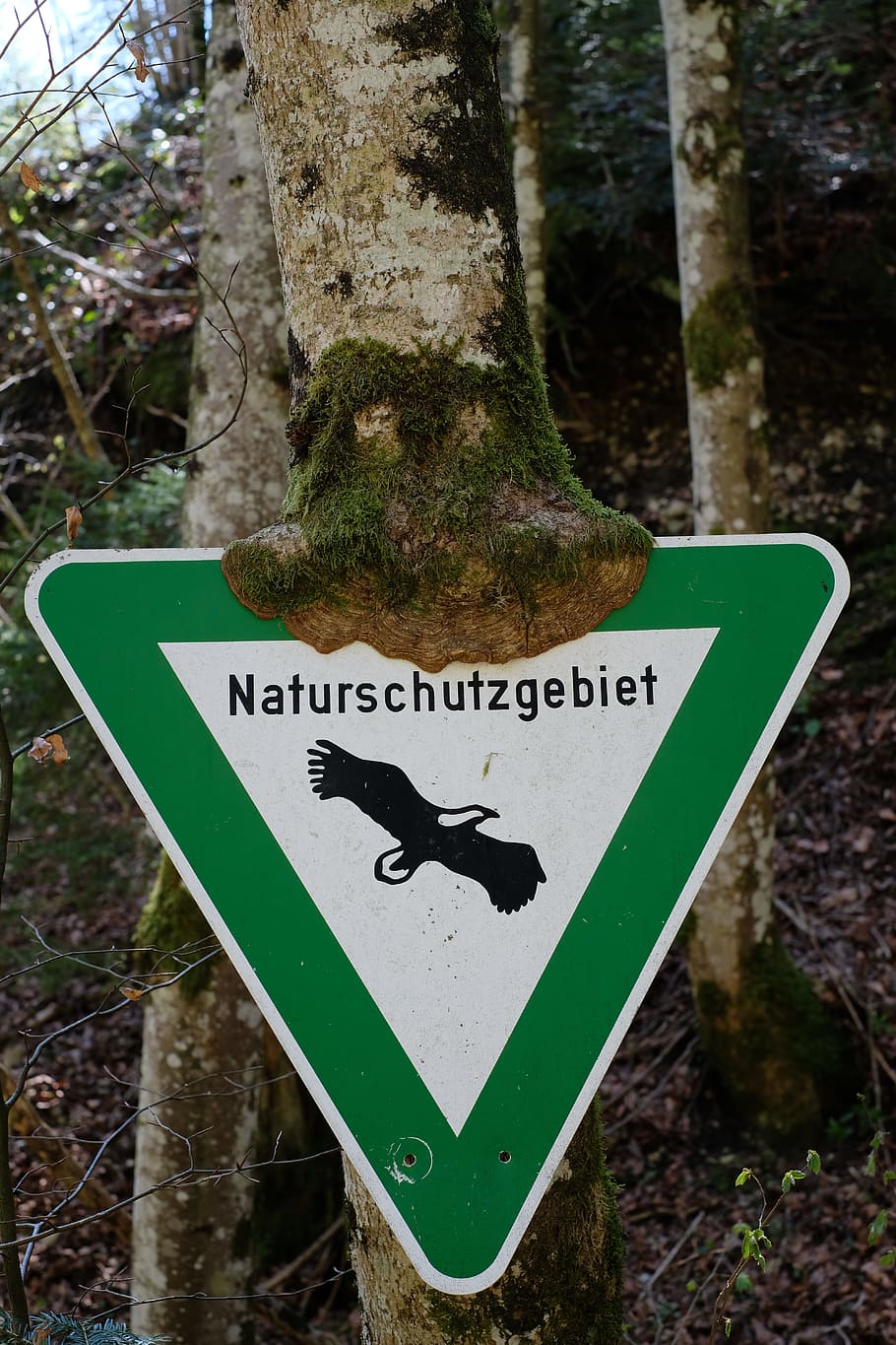 Green and White Naturschutzgebiet Sign, close -up, daylight, environment HD wallpaper