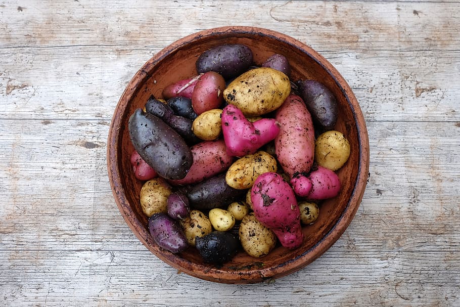 potatoes, harvest, autumn, color, heart, garden, healthy, erdfrucht