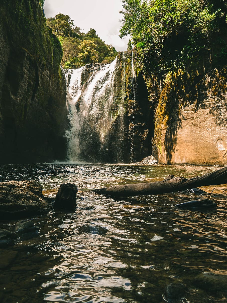 water falls between green trees, scenics - nature, beauty in nature HD wallpaper