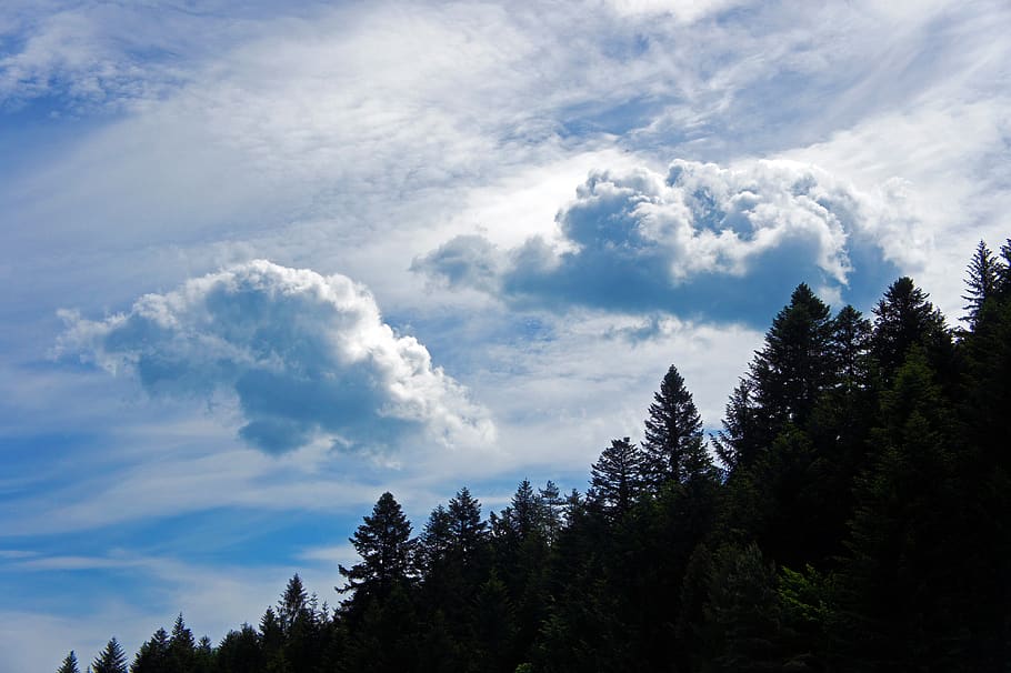 clouds, forest, landscape, nature, trees, mountains, woods HD wallpaper