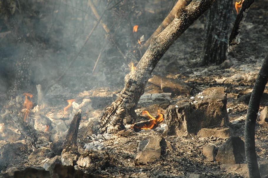 croatia, peroj, burning, fire - natural phenomenon, smoke - physical structure HD wallpaper