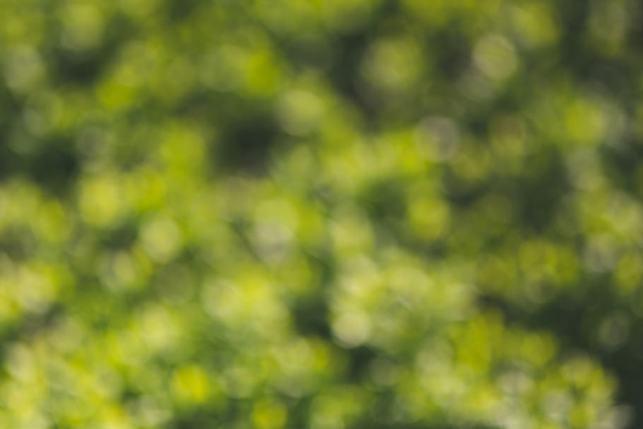 Green bokeh, background, no people, full frame, day, plant, green color HD wallpaper