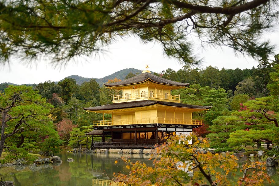 HD wallpaper: kinkaku-ji, temple, kyoto, japan, tree, plant, built ...