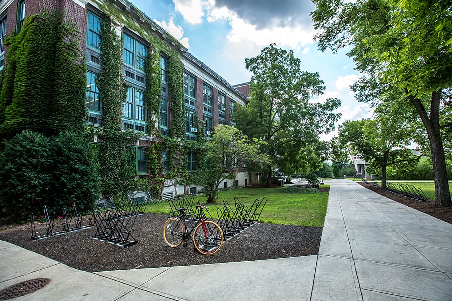 black bicycle parked in front of building, bike, syracuse, campus, HD wallpaper