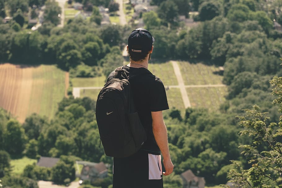 Man Carrying Background While Looking on Trees, adventure, back view HD wallpaper