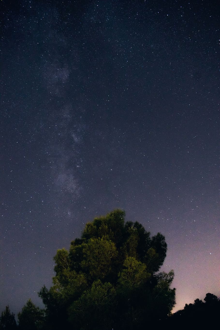 spain, chiva, olimar, tree, night, plant, sky, space, star - space HD wallpaper