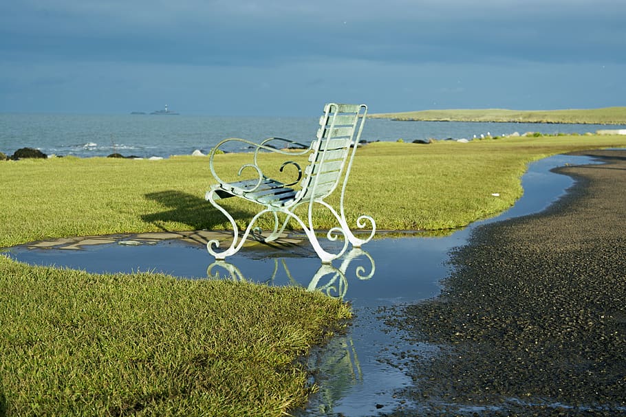 ireland, skerries, water, plant, nature, day, beauty in nature HD wallpaper