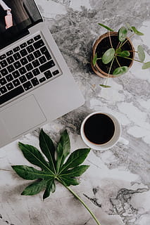 Apple MacBook on the marble desk, workspace, workplace, tech HD wallpaper