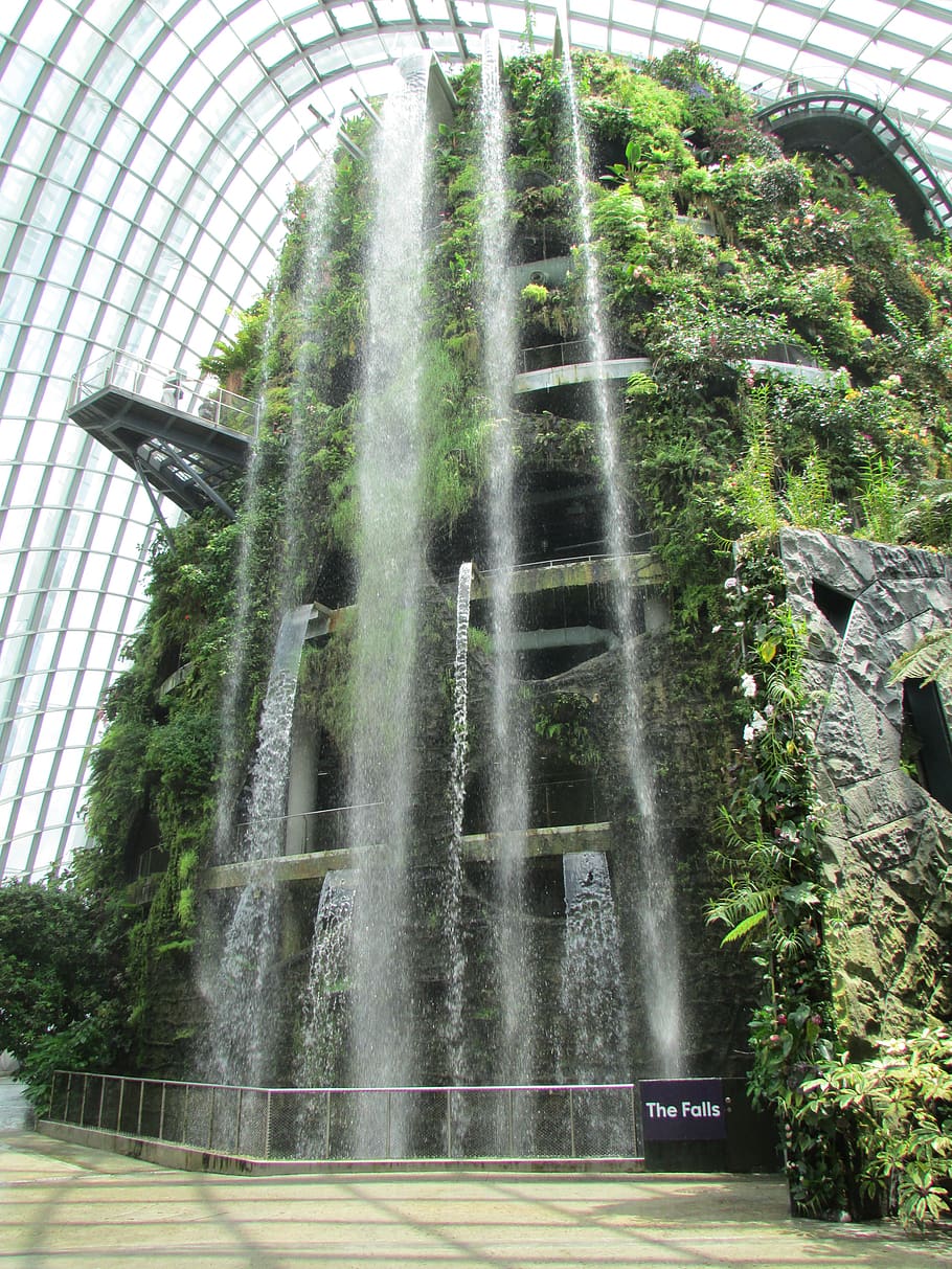 singapore, cloud forest, architecture, plant, built structure HD wallpaper