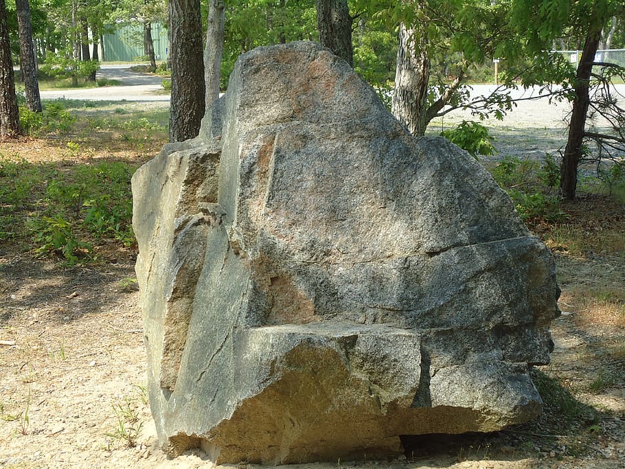 big, rock, boulder, stone, large, tree, solid, day, plant, nature HD wallpaper