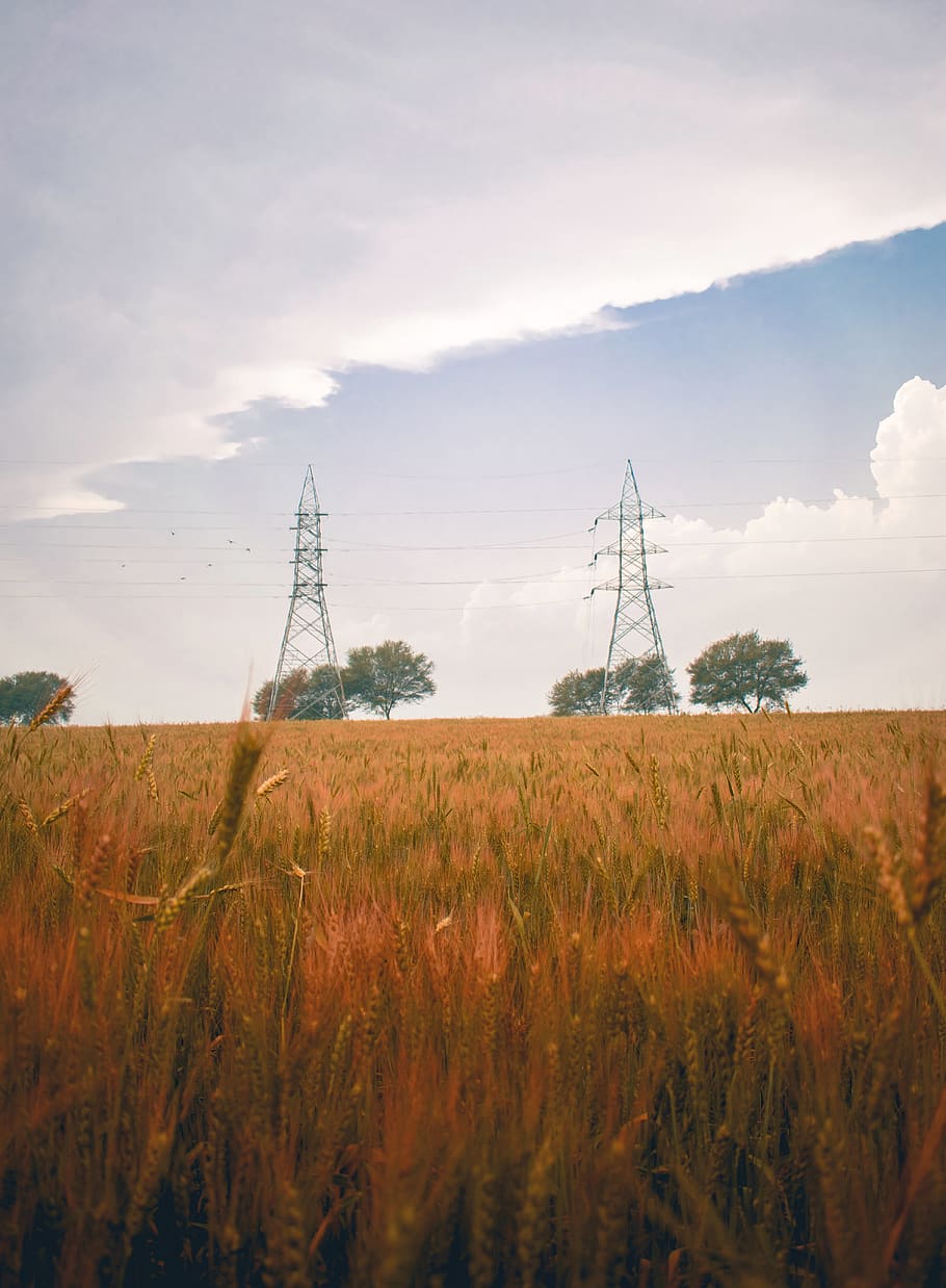 Hd Wallpaper Cable Power Lines Electric Transmission Tower