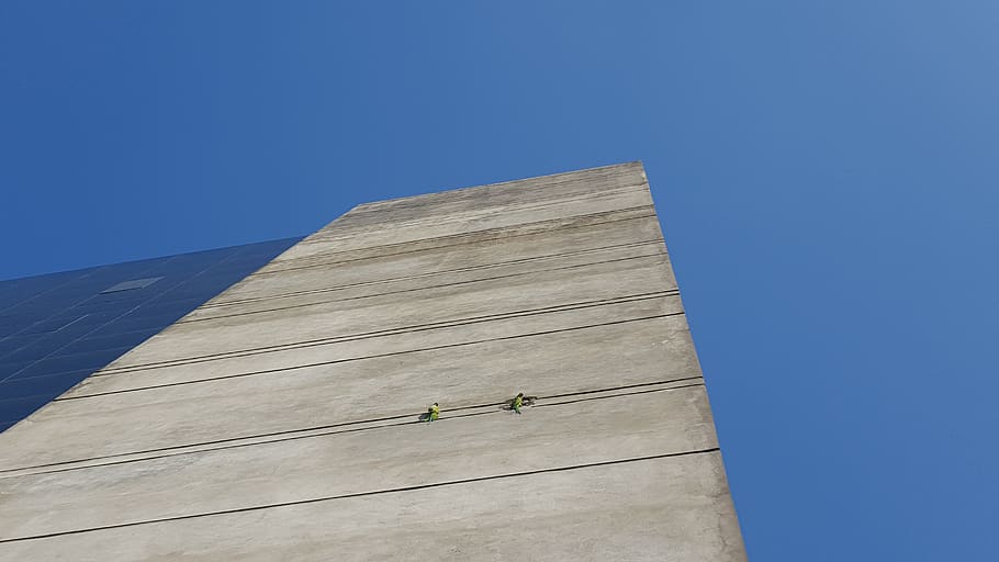 building, animal, architecture, tower, plant, tree, bird, nature HD wallpaper