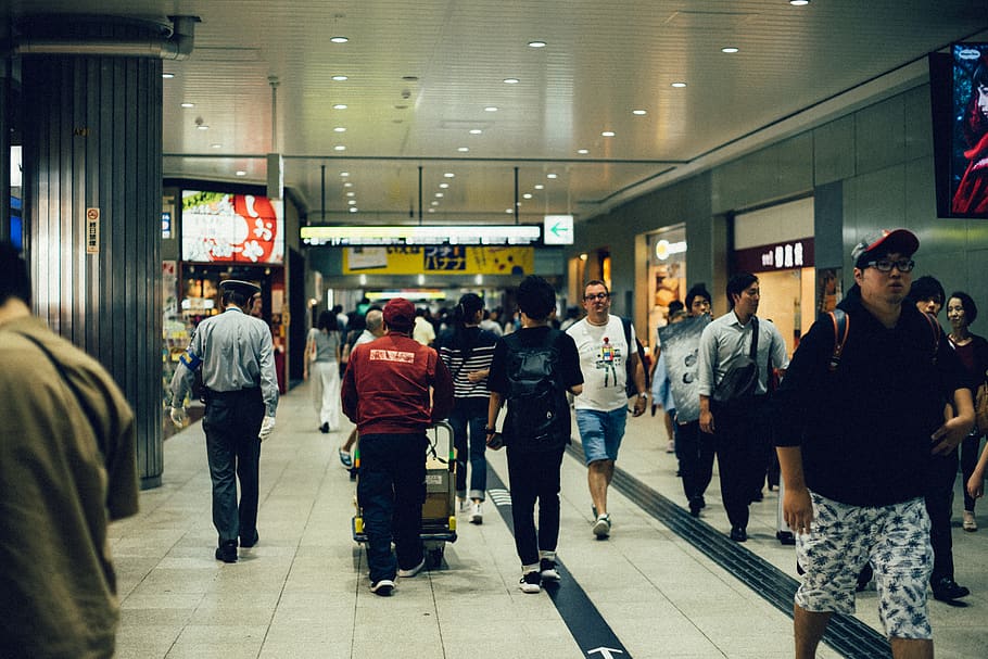 group of people walking inside the buildng, person, human, terminal, HD wallpaper