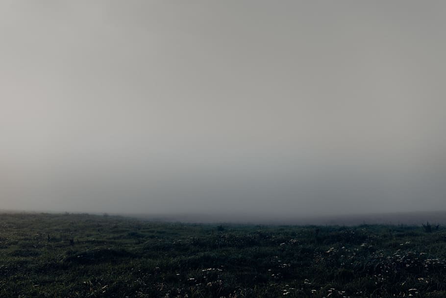 fields, fog, grass, gray, landscape, environment, sky, beauty in nature HD wallpaper