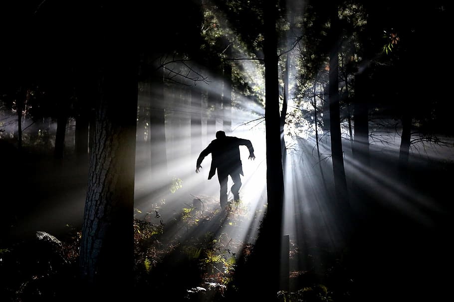 dark, night, light, trees, plant, forest, fear, man, running HD wallpaper