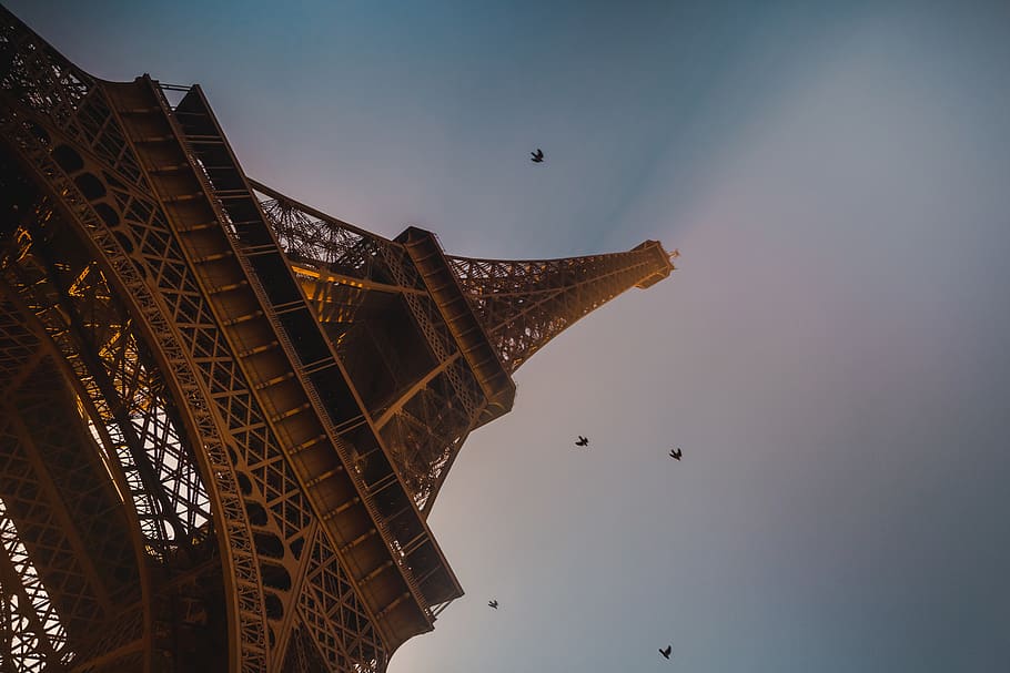 tower, architecture, building, spire, steeple, animal, bird HD wallpaper