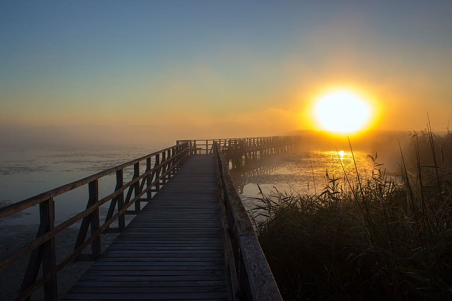 Silhouette Photography of Black Wooden Dock, beach, bridge, dawn HD wallpaper