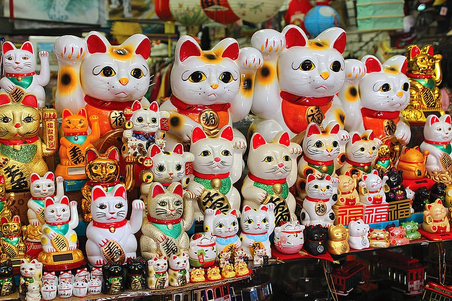 asian, japanese, culture, traditional, east, cats, chinatown, HD wallpaper